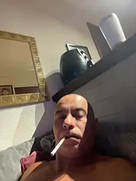 dogfrota online show from January 11, 7:02 am