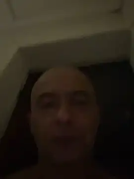 dogfrota online show from February 28, 6:47 am