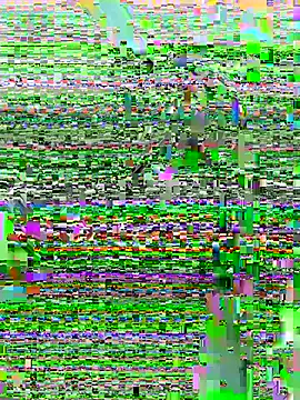 DouDou-- online show from June 23, 2:37 pm