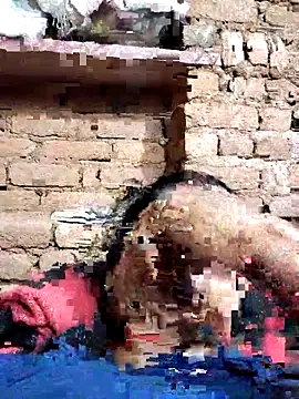 Hot di97 online show from February 14, 8:38 pm