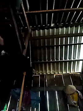 karara97 online show from April 2, 6:00 am