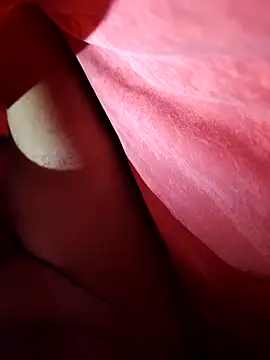 shokola online show from February 12, 9:59 am