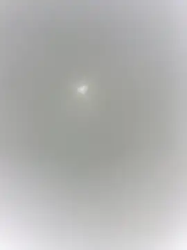 Snapshot of sharck12_35 chatting on January 18, 11:14 am sharck12 35 online show from January 18, 11:14 am