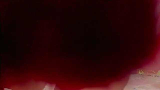 Snapshot of sweet__luna__ chatting on February 21, 11:00 am sweet luna online show from February 21, 11:00 am