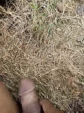 Snapshot of ankit_barma009 chatting on February 3, 9:03 am ankit barma009 online show from February 3, 9:03 am