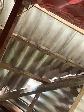 Suny-sexy online show from March 20, 1:54 am