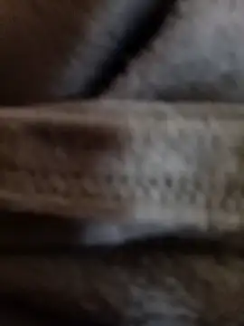 Snapshot of Daisy91 chatting on January 14, 3:06 pm Daisy91 online show from January 14, 3:06 pm