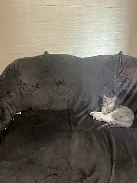 AlisRoxy online show from February 14, 2:14 pm