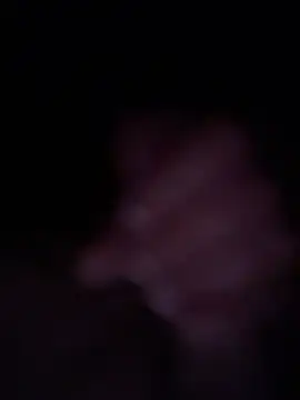 canadian0808 online show from February 4, 8:09 am