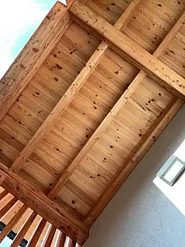 DaleBoca online show from March 20, 4:23 pm