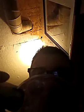 Drews9in online show from January 19, 1:04 pm