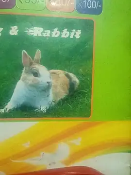 Lovable dude online show from March 12, 5:19 pm