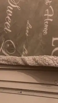 Snapshot of BadyAndShay5 chatting on March 22, 10:46 pm BadyAndShay5 online show from March 22, 10:46 pm