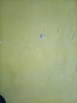 Snapshot of Lilijms97_ chatting on July 24, 5:27 am Lilijms97 online show from July 24, 5:27 am