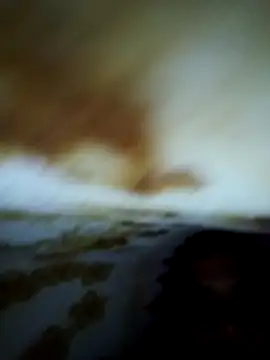 Alone b0 online show from February 1, 5:55 pm