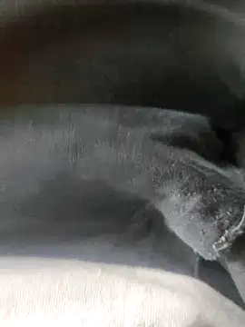 Snapshot of 3D-telugu chatting on March 19, 6:06 am 3D-telugu online show from March 19, 6:06 am