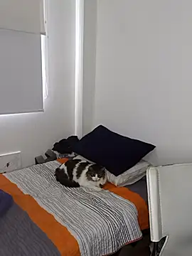 Nikolth 4 online show from February 4, 3:18 pm