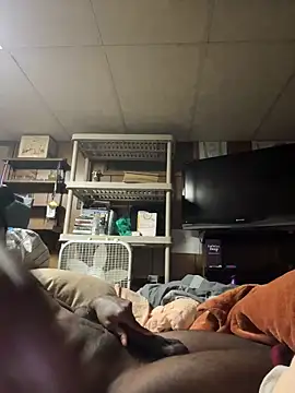 Snapshot of ProveYourLoyalty2 chatting on March 19, 8:40 am ProveYourLoyalty2 online show from March 19, 8:40 am