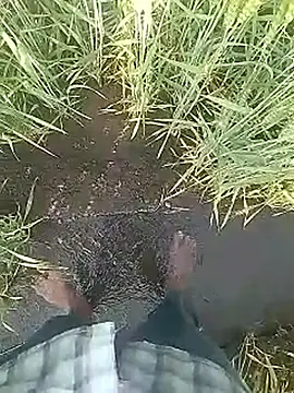 Cute Boy 4 online show from February 10, 3:21 am