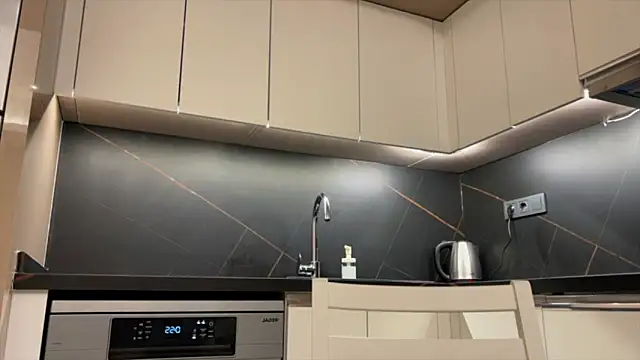 BlackFox V online show from March 28, 9:25 pm