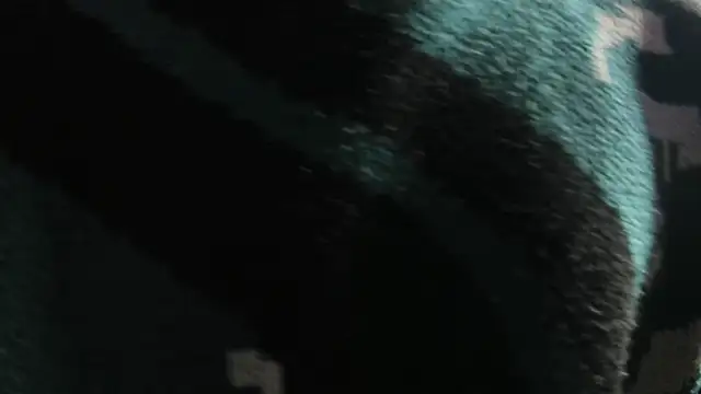 Snapshot of Christopher_Hunter chatting on March 22, 4:27 am Christopher Hunter online show from March 22, 4:27 am