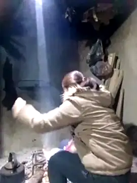 maimai1100 online show from February 3, 12:42 am