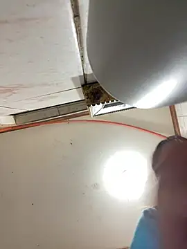 Babypalomi online show from February 8, 6:28 am