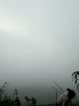 sushi-asa online show from March 7, 12:51 am