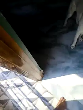 rubitrides11 online show from February 18, 6:09 am