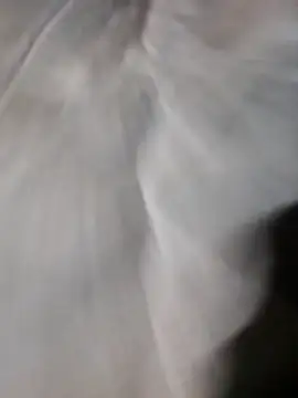 poke90201 online show from March 22, 12:58 am