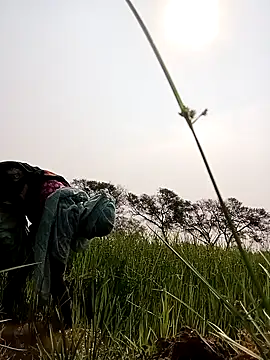 Snapshot of Royal_hotti0011 chatting on March 17, 3:55 am Royal hotti0011 online show from March 17, 3:55 am