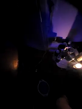 Snapshot of AnalLovverx chatting on February 14, 2:30 am AnalLovverx online show from February 14, 2:30 am