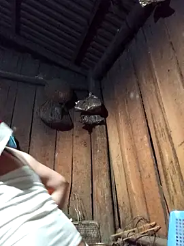 lena-cute online show from February 5, 12:54 pm