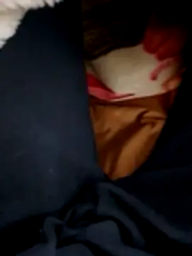 Snapshot of SteppingDevices chatting on February 9, 6:23 pm SteppingDevices online show from February 9, 6:23 pm