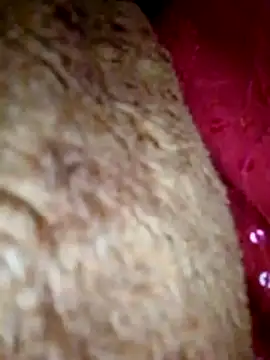 Snapshot of Talkwithsex chatting on April 1, 7:53 am Talkwithsex online show from April 1, 7:53 am