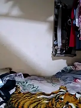 polla large active online show from April 16, 4:30 pm