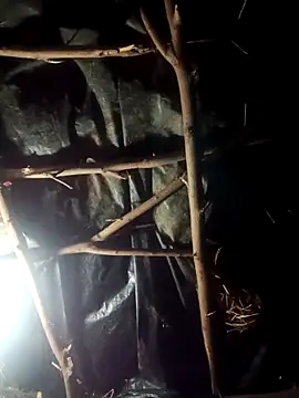 Hot sun89 online show from February 11, 10:04 pm