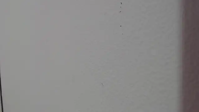 bonniedreams 18 online show from February 11, 1:38 pm