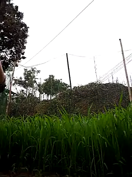 nhynhy11 online show from March 21, 1:54 am