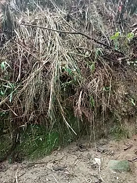 aiai220 online show from March 25, 1:22 am