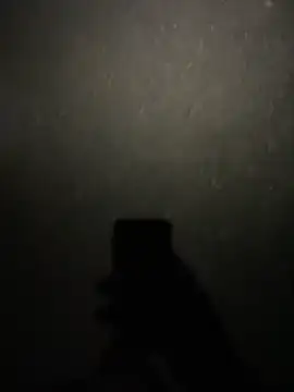 stallone italiano 62 online show from February 11, 8:47 pm