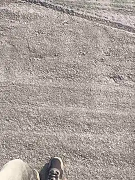 stallone italiano 62 online show from March 23, 7:23 am