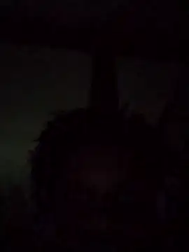 lillysult online show from February 8, 12:58 am