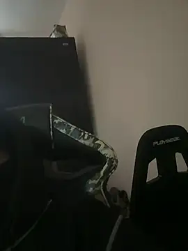 Snapshot of thiag999 chatting on February 9, 3:16 pm thiag999 online show from February 9, 3:16 pm