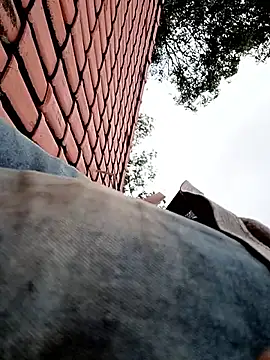 Snapshot of nego5628 chatting on April 1, 12:06 pm nego5628 online show from April 1, 12:06 pm