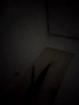 Brunocasal2029 online show from April 3, 10:52 pm