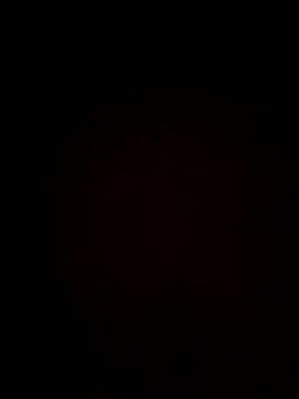 Snapshot of plump-bums chatting on February 16, 12:56 pm plump-bums online show from February 16, 12:56 pm