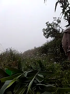 lovely-742 online show from March 7, 1:57 am