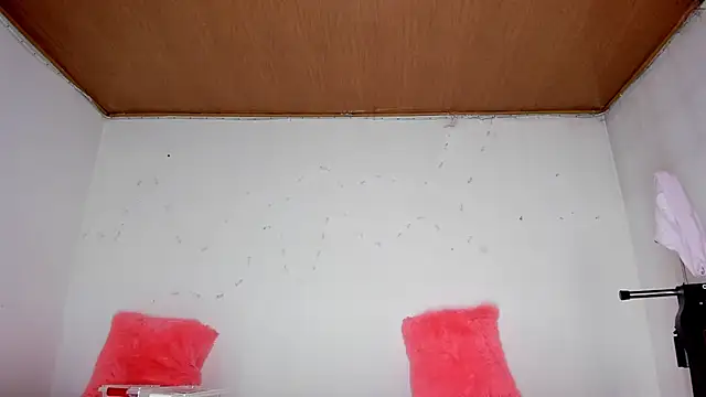 Snapshot of karol_kane chatting on February 13, 3:19 pm karol kane online show from February 13, 3:19 pm