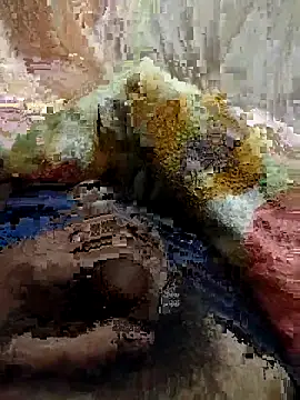 soni8850 online show from February 15, 4:03 pm